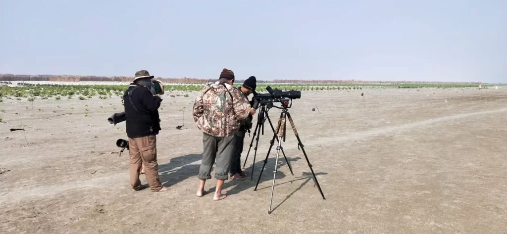 Birdwatchers' Society