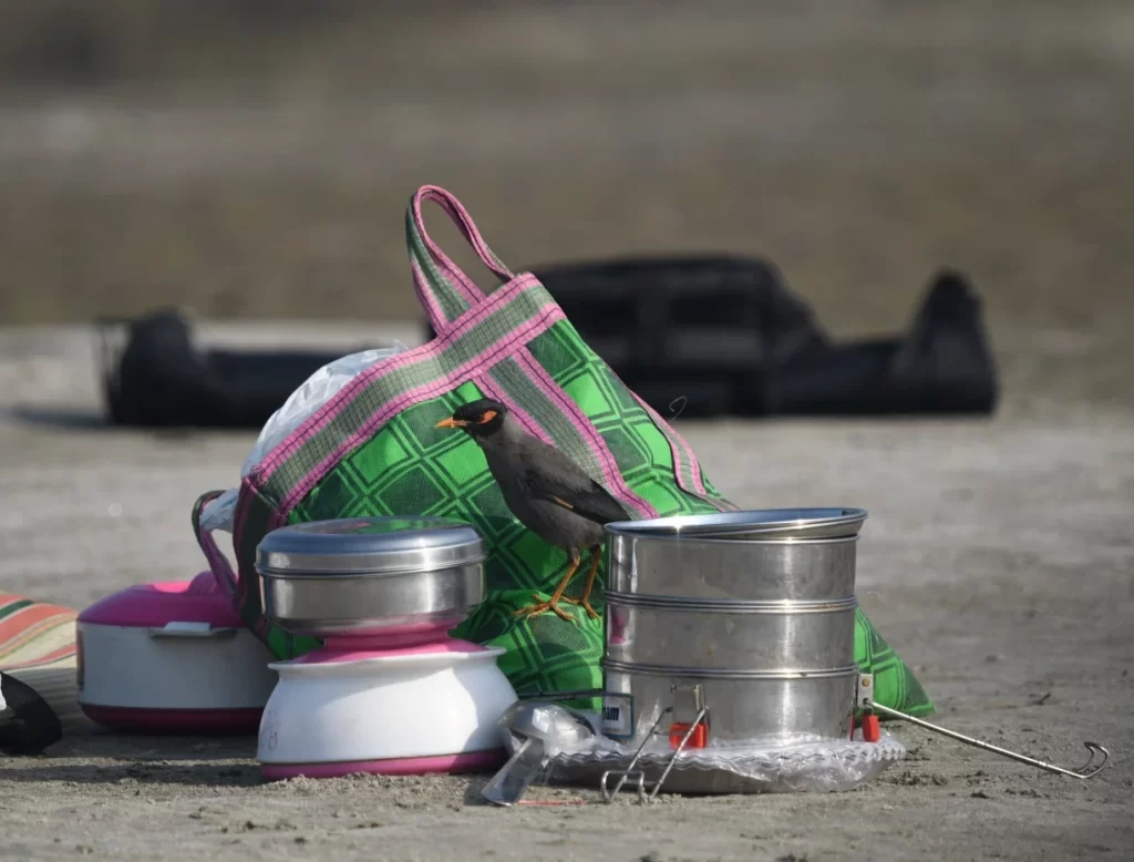 Birdwatchers' Society