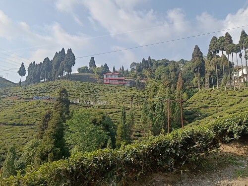 Birdwatchers' Society