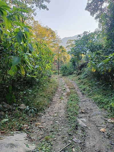 Birdwatchers' Society