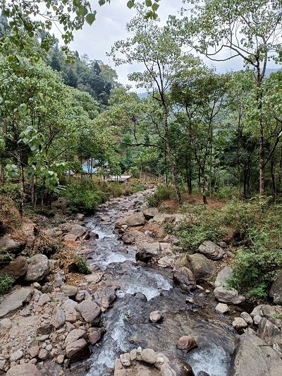Birdwatchers' Society