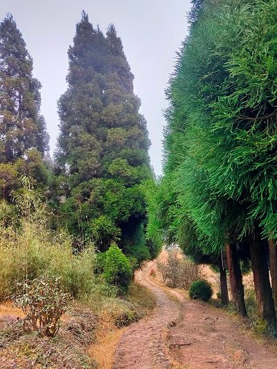 Birdwatchers' Society