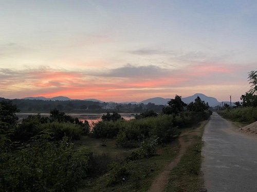 Birdwatchers' Society